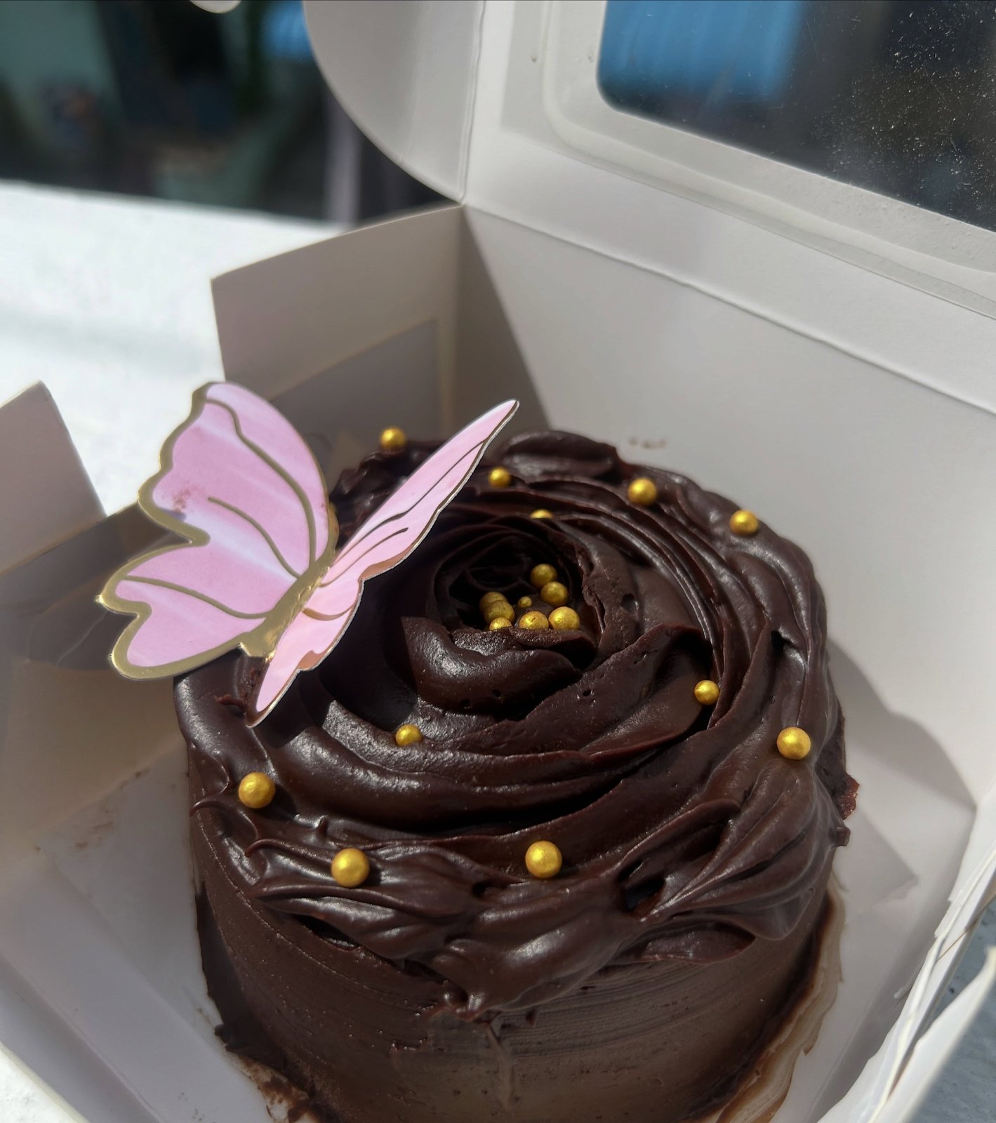 Chocolate cake with butterfly topper