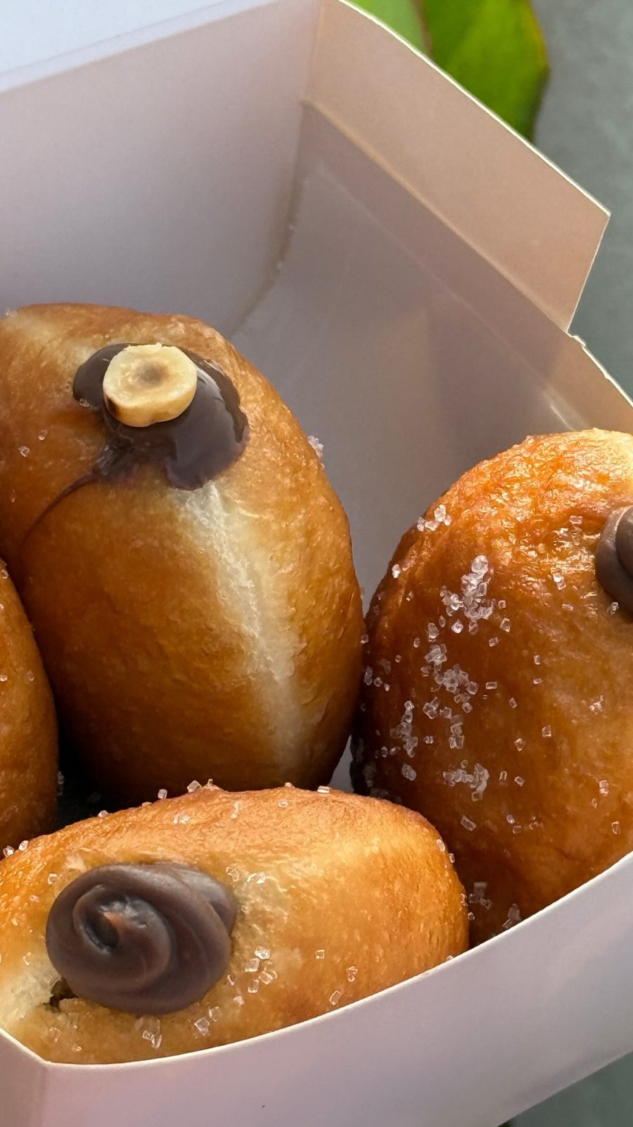 Fresh bombolinis in a box