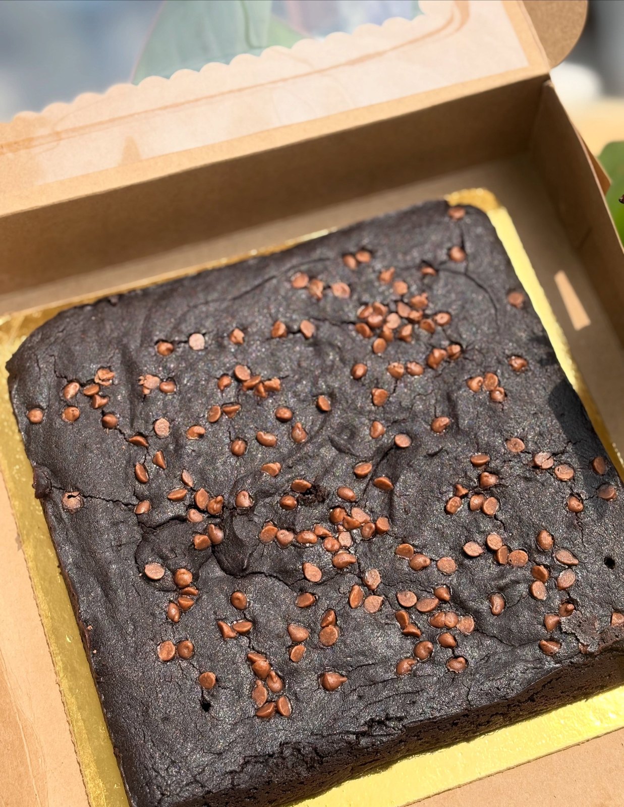 Brownie slab with chocolate chips